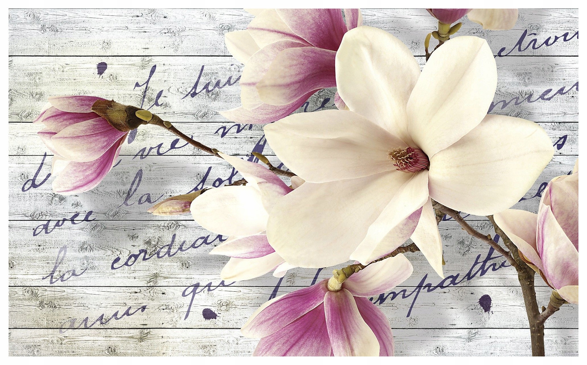 Fototapeta Magnolie Vintage Květy jara pastelové pozadí 200x140 lepidlo