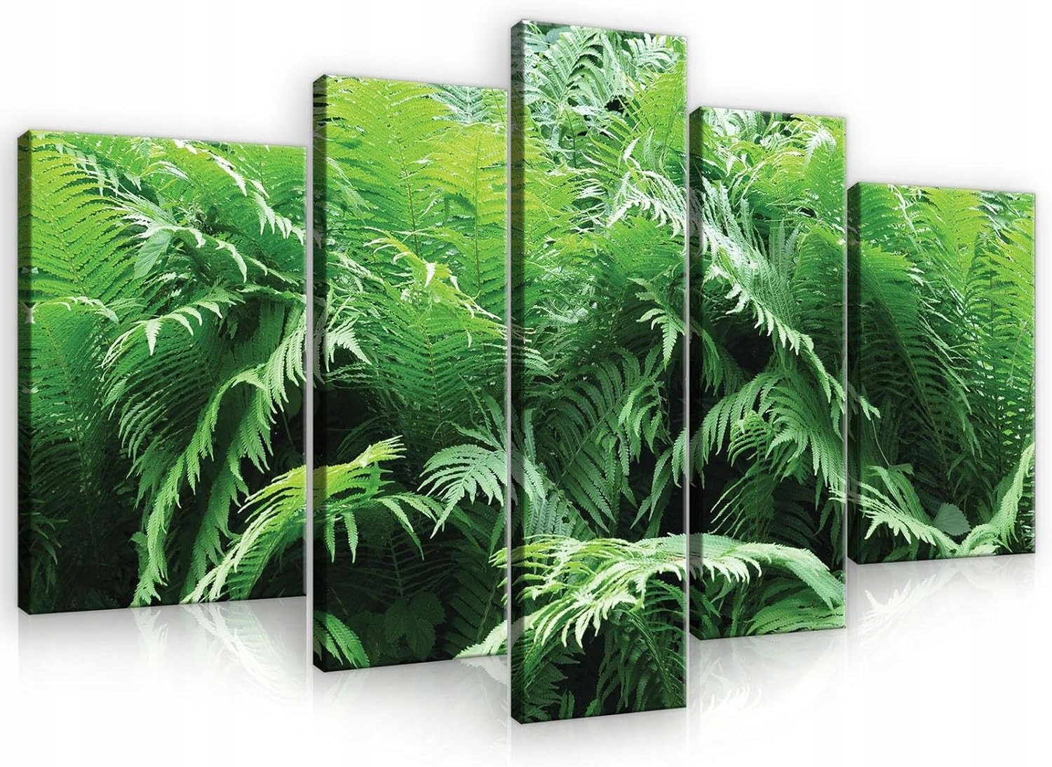 Obraz 170x100 Papraď zelená príroda listy les sviežosť pokoj harmónia