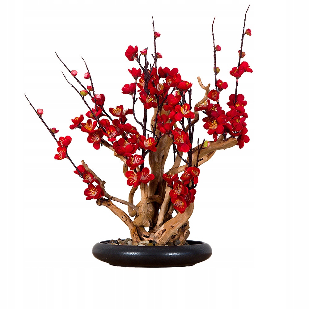 Pokojová dekorativní bonsai Red plum (PN-38)