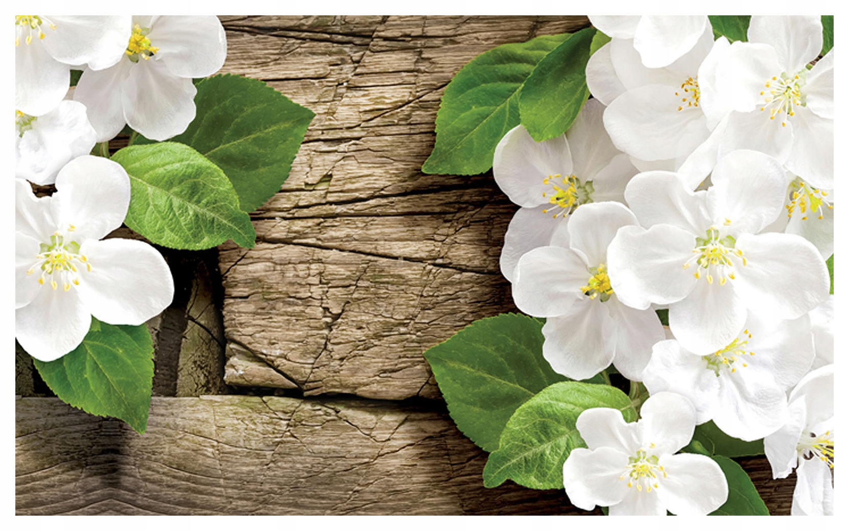 Vliesová fototapeta Květiny a stromy příroda do obývacího pokoje 350x250 lepidlo