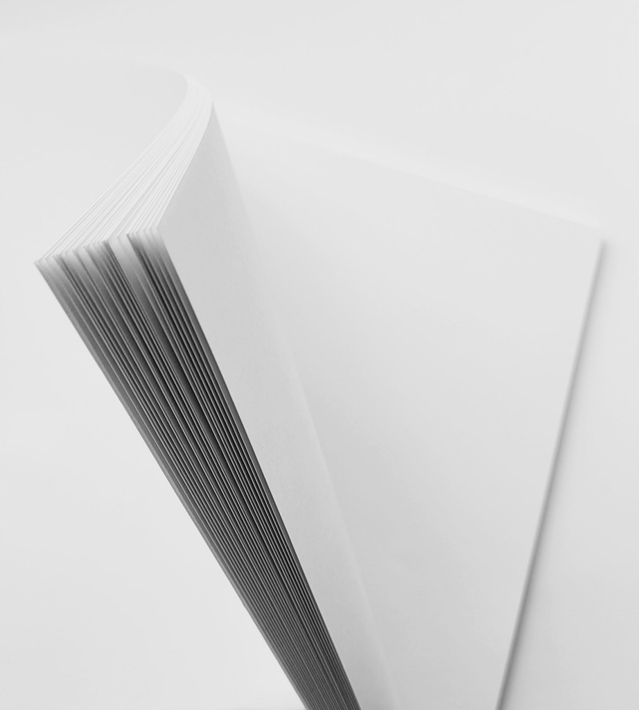 Organizer planer notes BuJo Bullet Journal A4 S04 Rodzaj inny