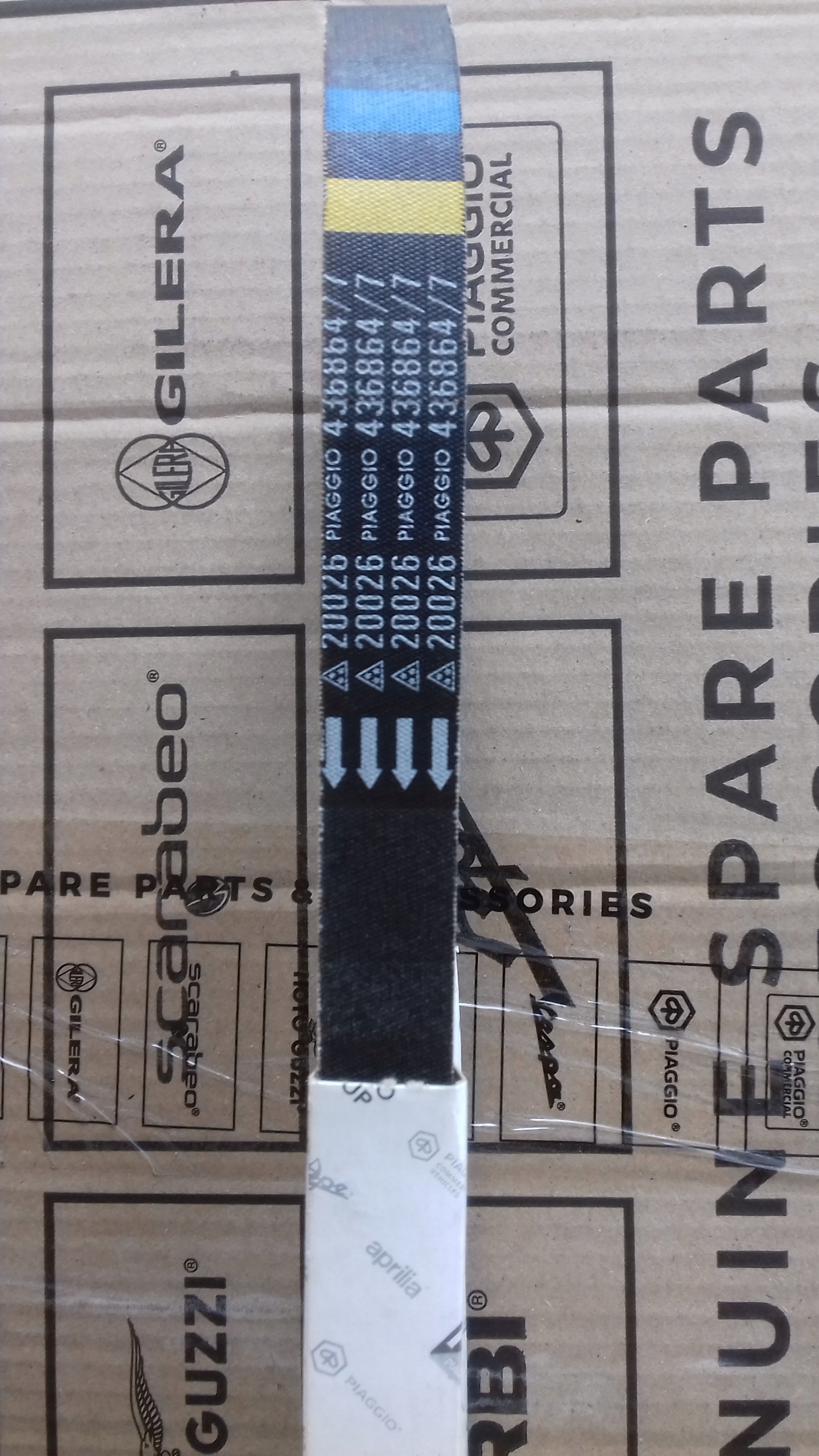 Pasek napędowy Gilera Piaggio Aprilia (nowy typ)