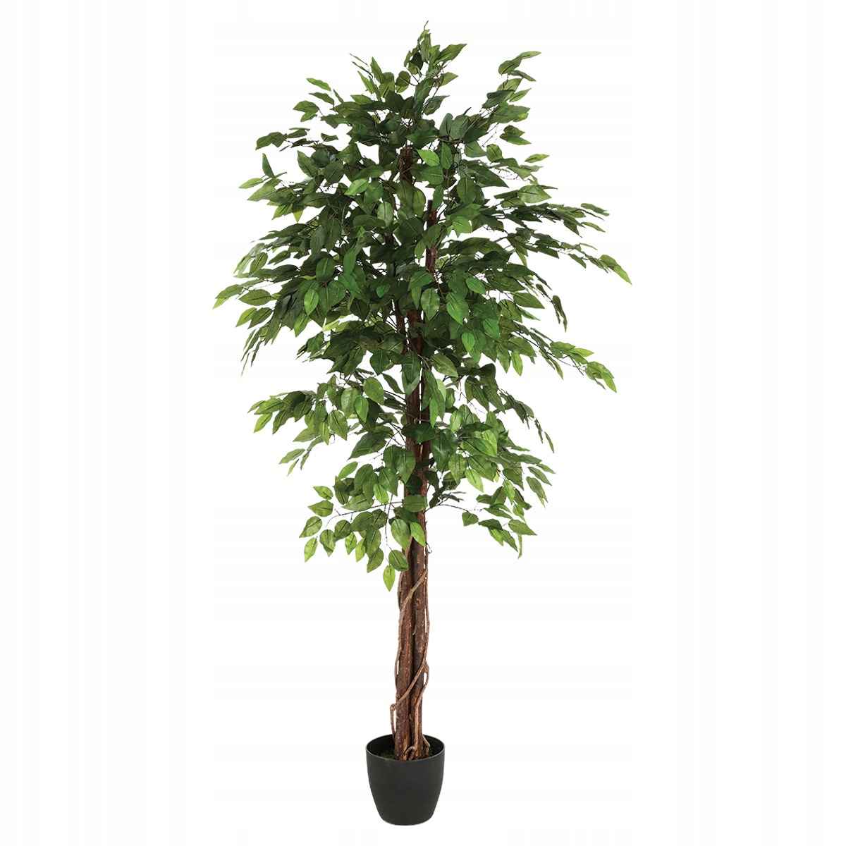 Vysoký umelý fikus s kvetináčom, výška 180 cm