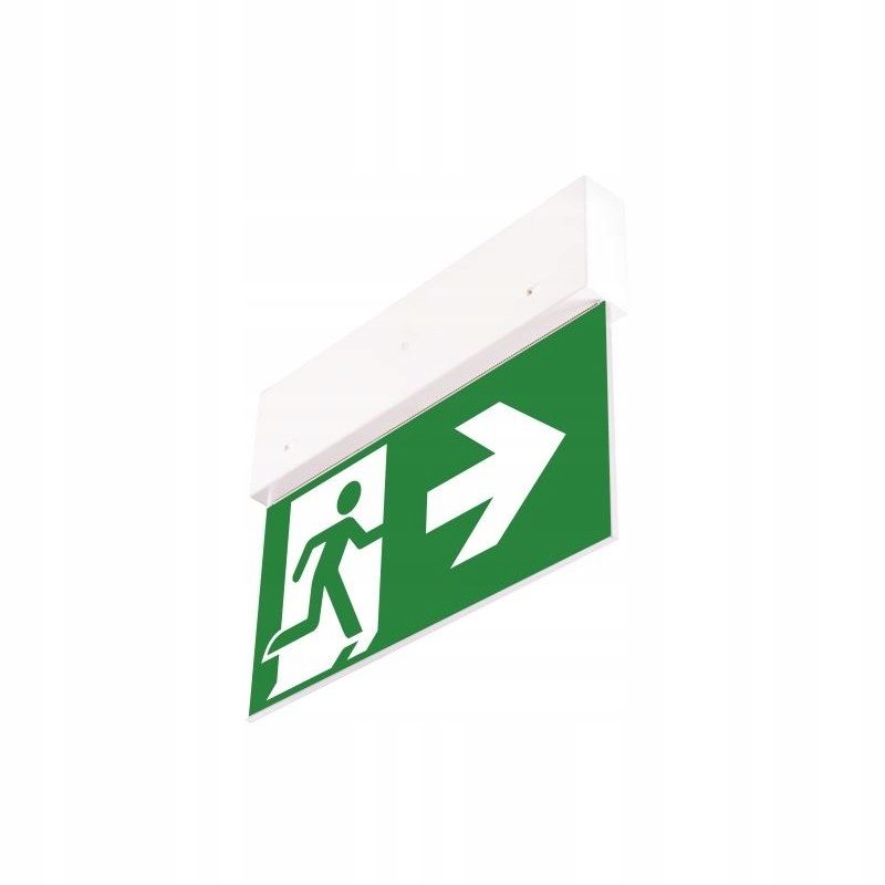 Evakuační svítidlo Directo S M 1H Mt (VD3, VD4, VD5 x 2) 90281