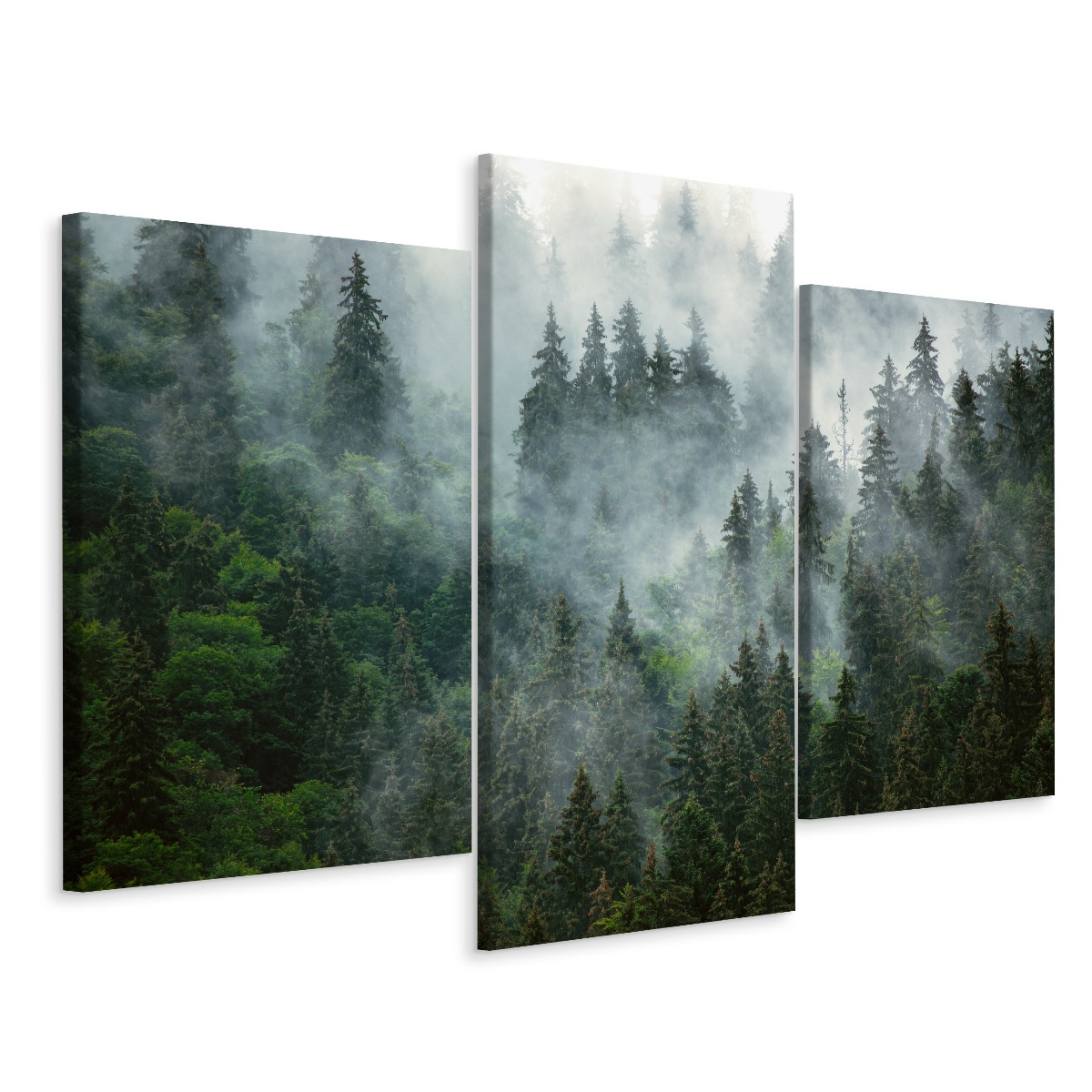 

Obraz 3-częściowy Las We Mgle Zieleń Dekor 60x40