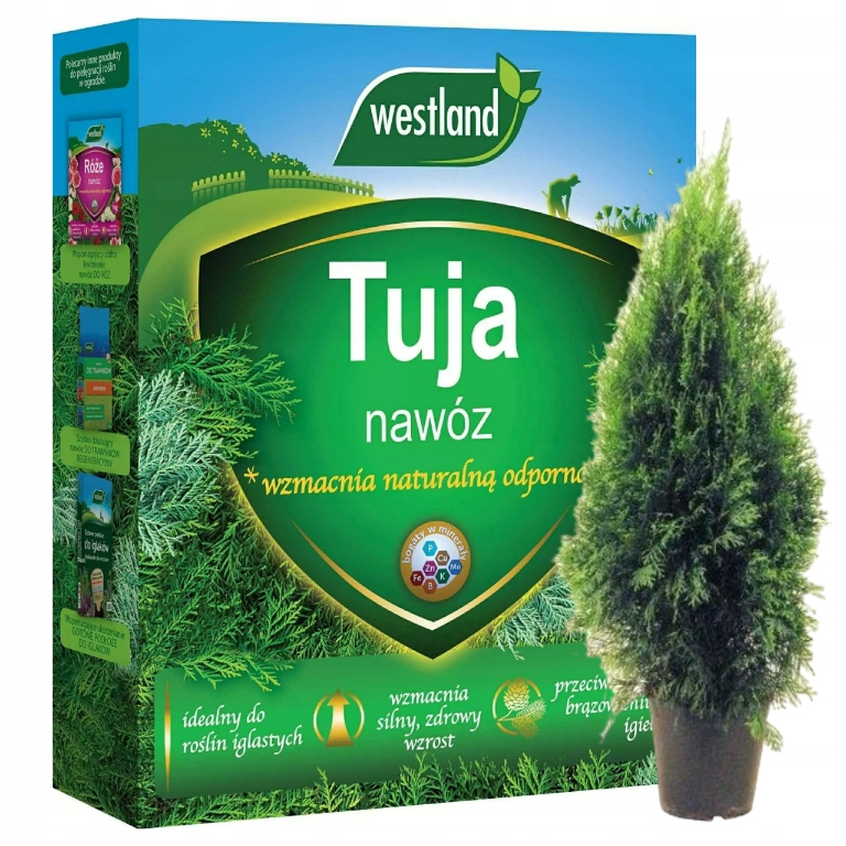 

Nawóz Do Tui tuji cisów cyprysów świerków 1KG