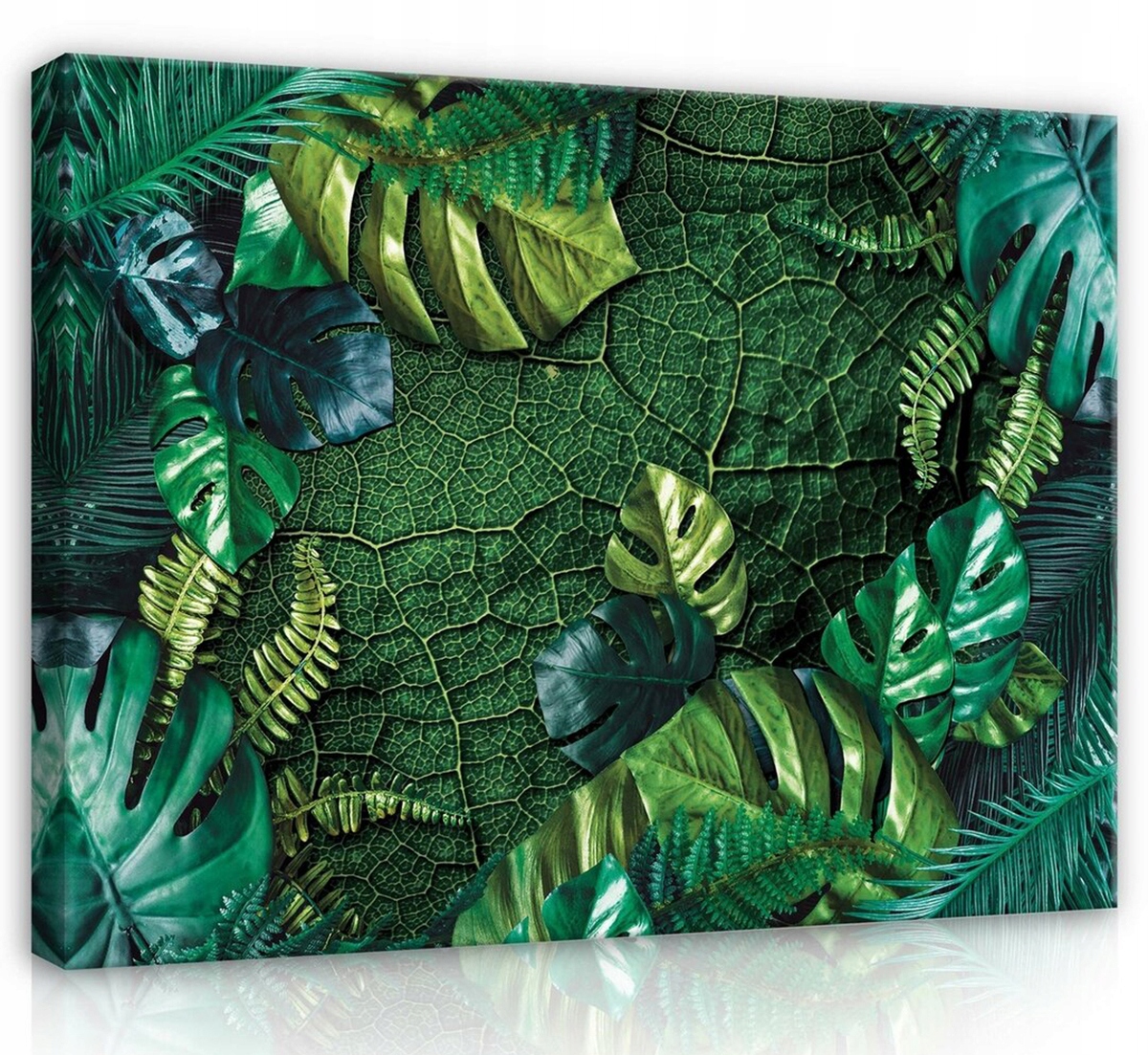 Obraz Na Plátně Canvas 100x75 Listy Rostliny Zeleň Monstera Kapradí
