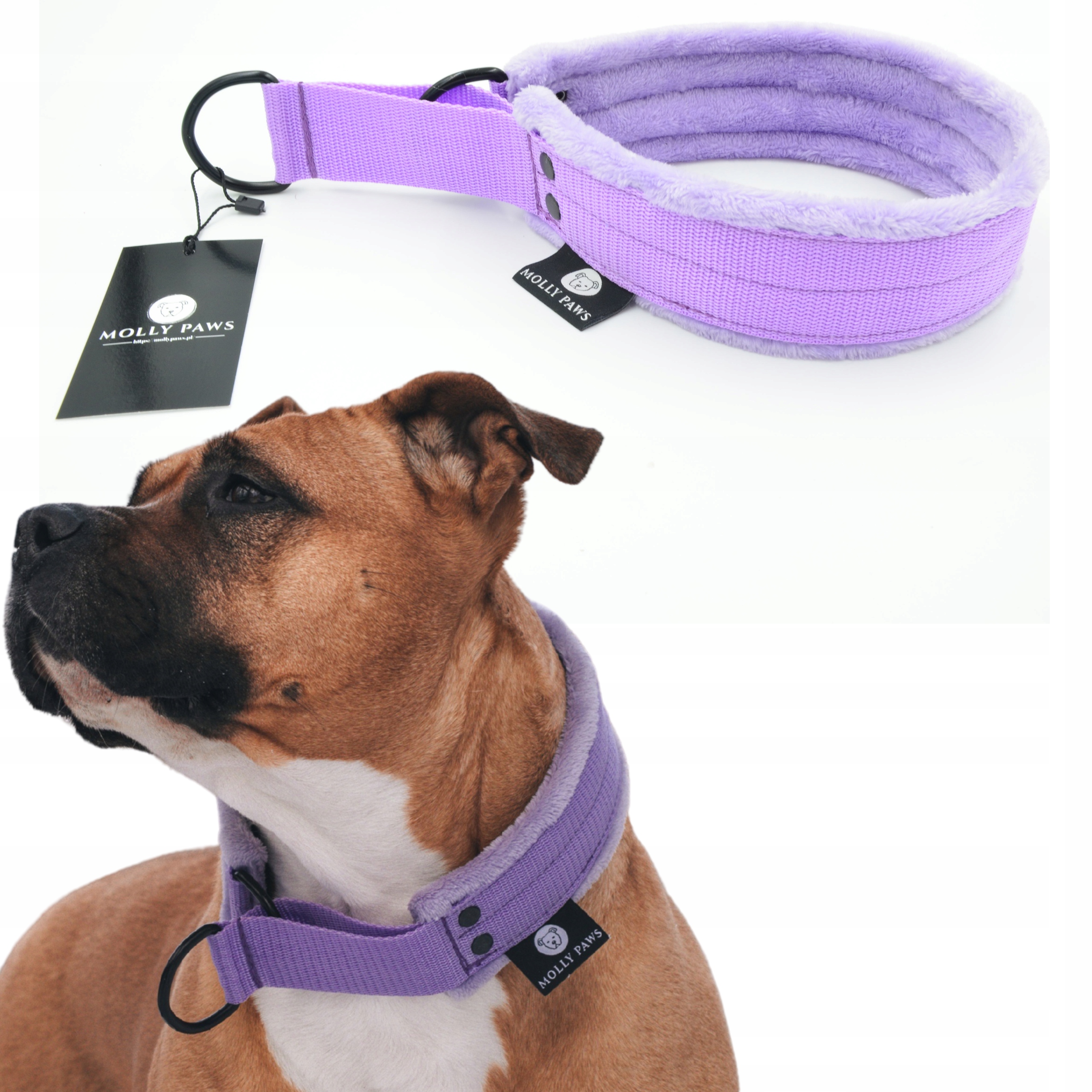 Levně Poloviční upínací obojek Lehký Všechny barvy a velikosti M