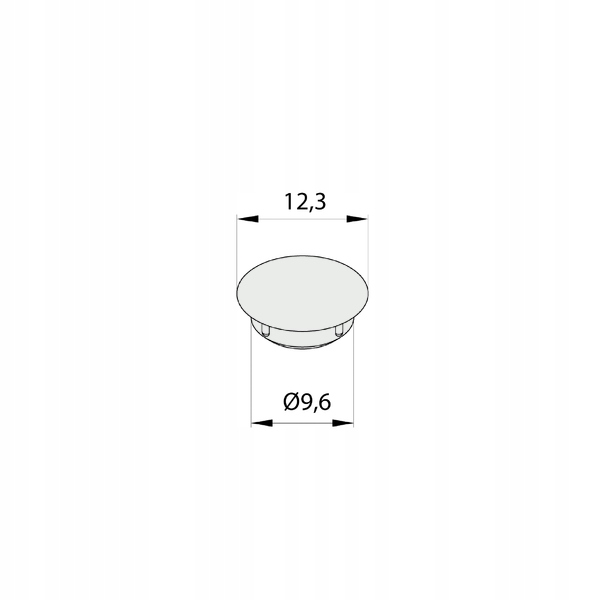 

Zatyczka zaślepka prowadnicy ZP10 3,5 srebrna