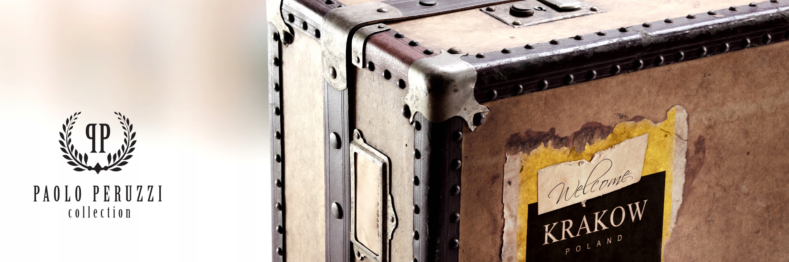 ELEGANCKA SKÓRZANA SASZETKA MĘSKA DO RĘKI T-21-BR Wzór dominujący bez wzoru