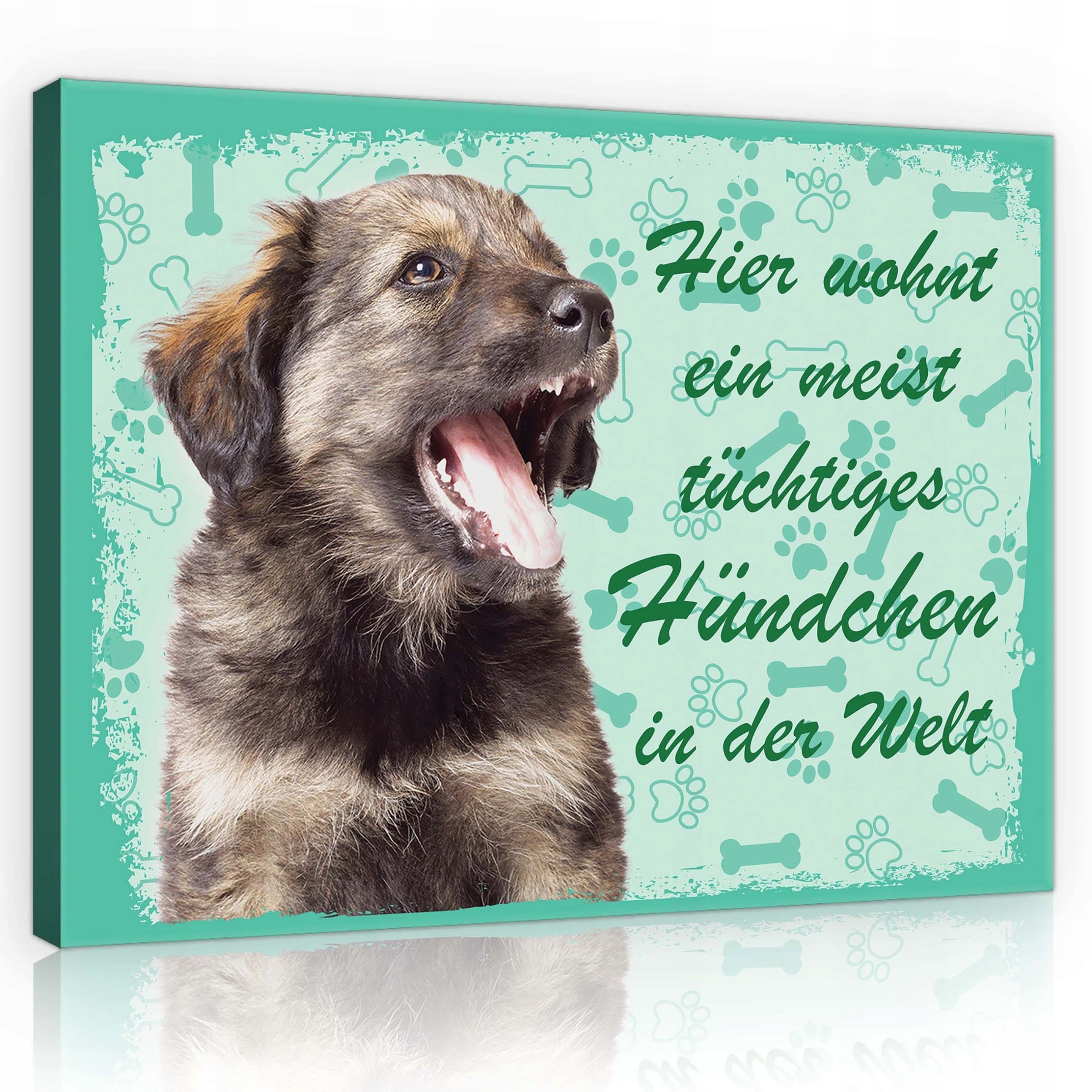 Obraz 100x75 Štěňátko pejsek roztomilý zábavný mazlíček kosti stopy tlapky