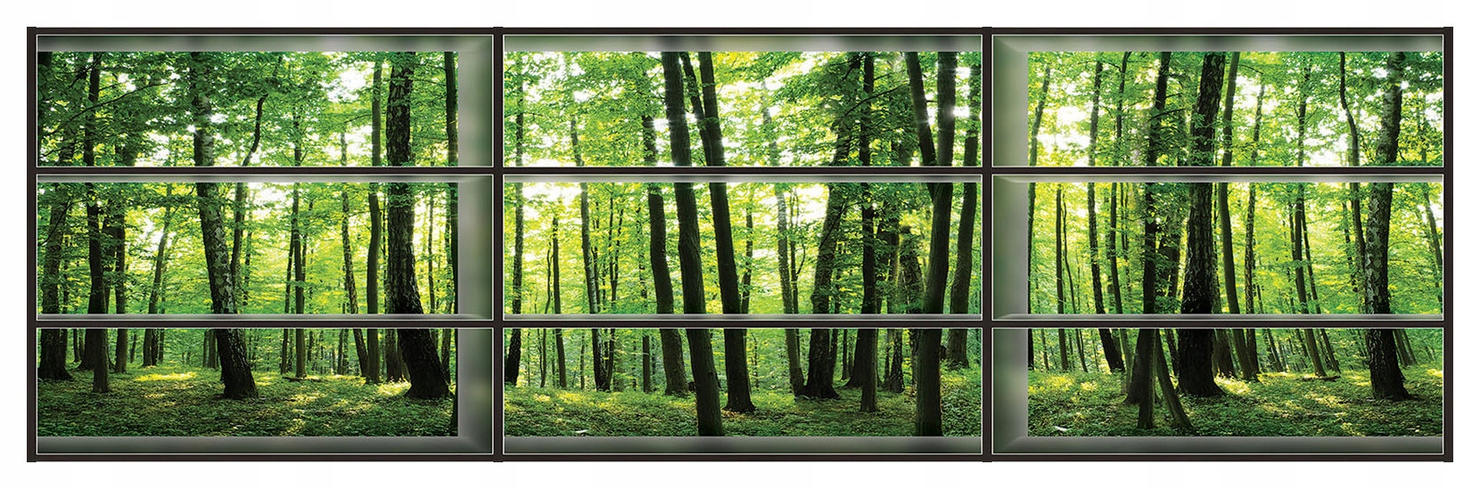 Tapeta Slnečný les v okne Lesný rám Lúč cez stromy 832x254 lepidlo
