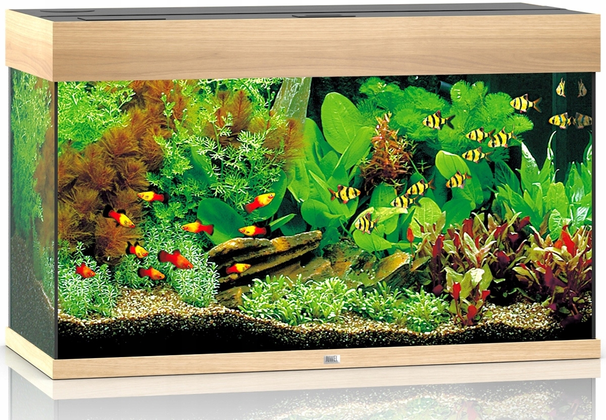 Levně Juwel Rio 125 Led světlé dřevo