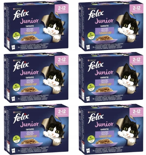 Levně Krmivo Pro Kočky Felix Fantastic Junior MIX Chutí v želé 72x85 g