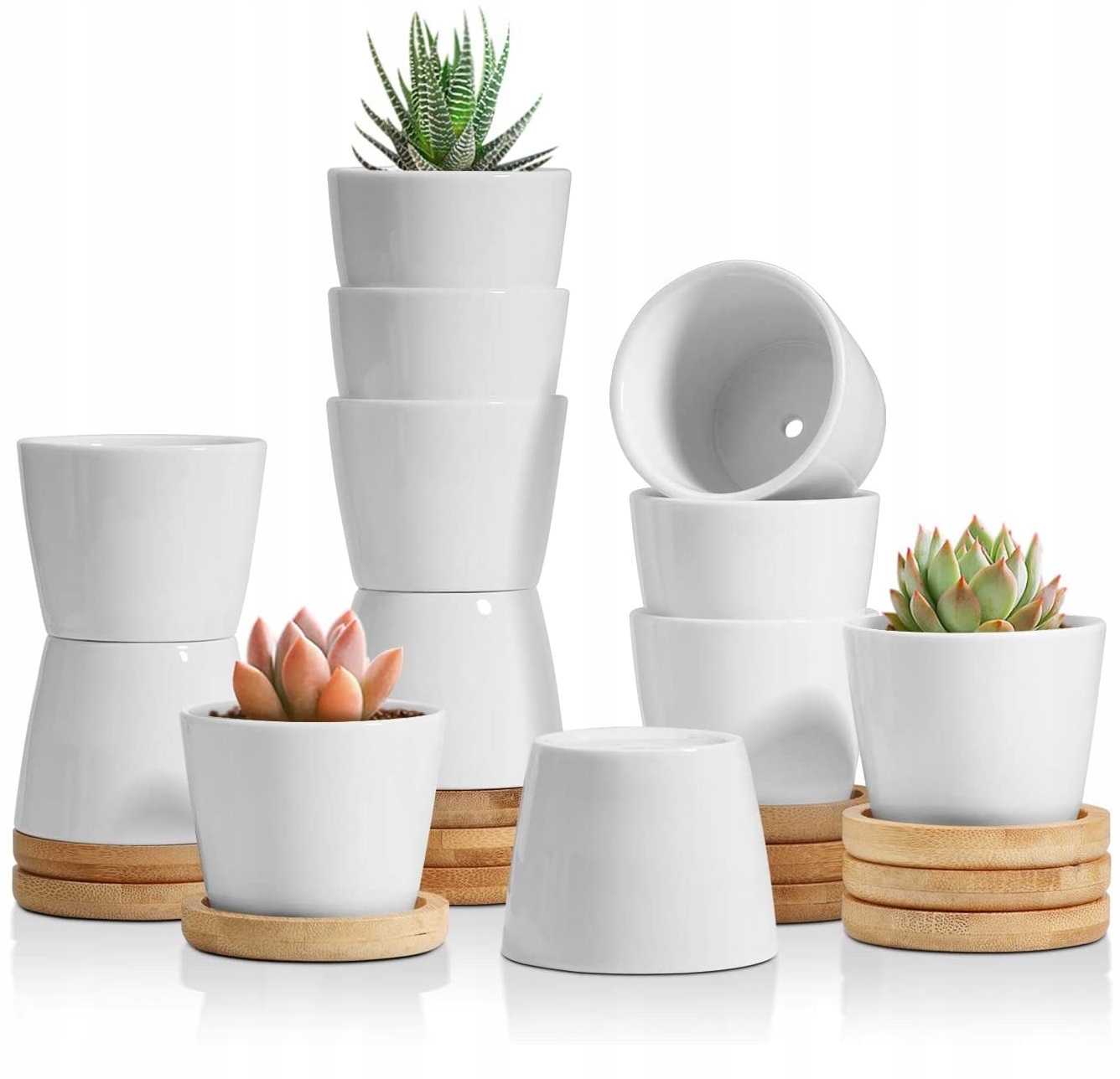 

Doniczki Na Sukulenty Mini Zestaw Ceramiczne 12SZT