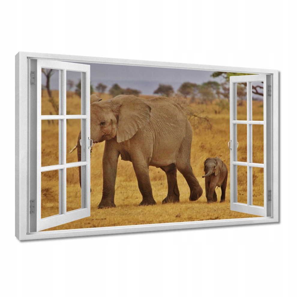 

Obrazy 60x40 Słoniątko z matką