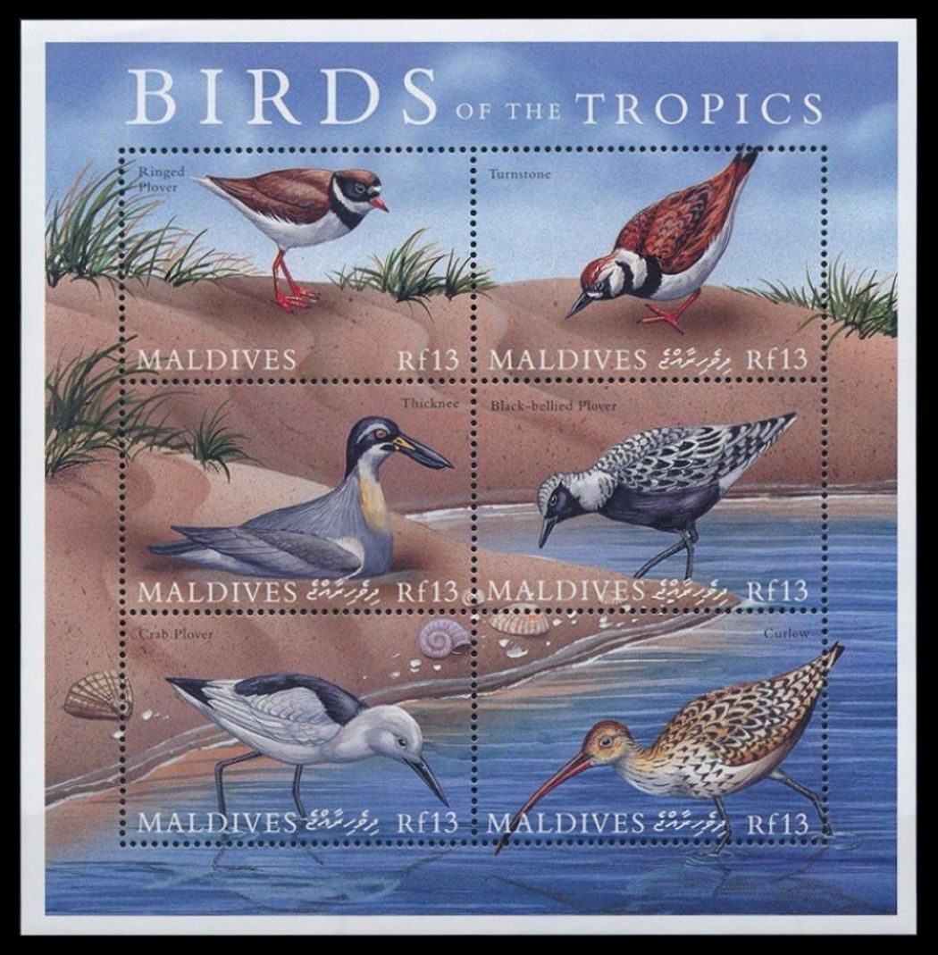 MALDIVES - PTAKI - 2000 r. - MNH(**)