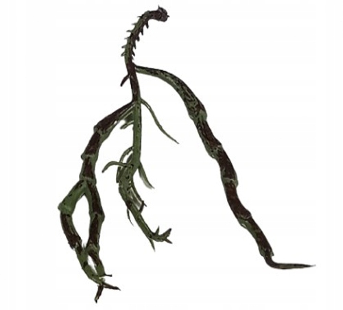 

Sztuczny Gumowany Korzeń Storczyka do Terrarium