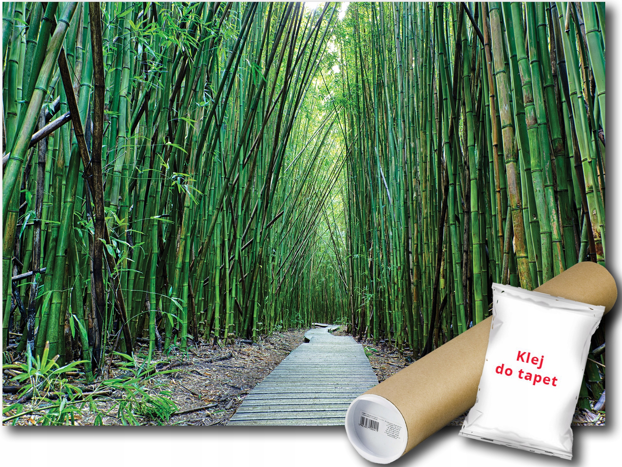 Fototapeta Flizelina Les Bambus Cesta 254x184