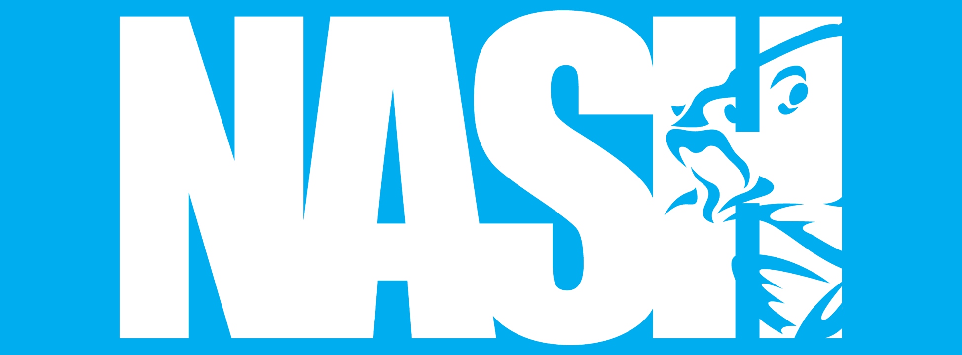 czapka wędkarska NASH Scope Mesh Snap Back EAN (GTIN) 5055144806006