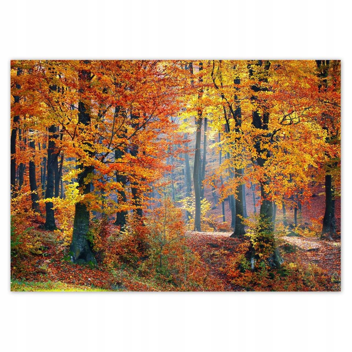 Fototapety 208x146 Zlatý podzim