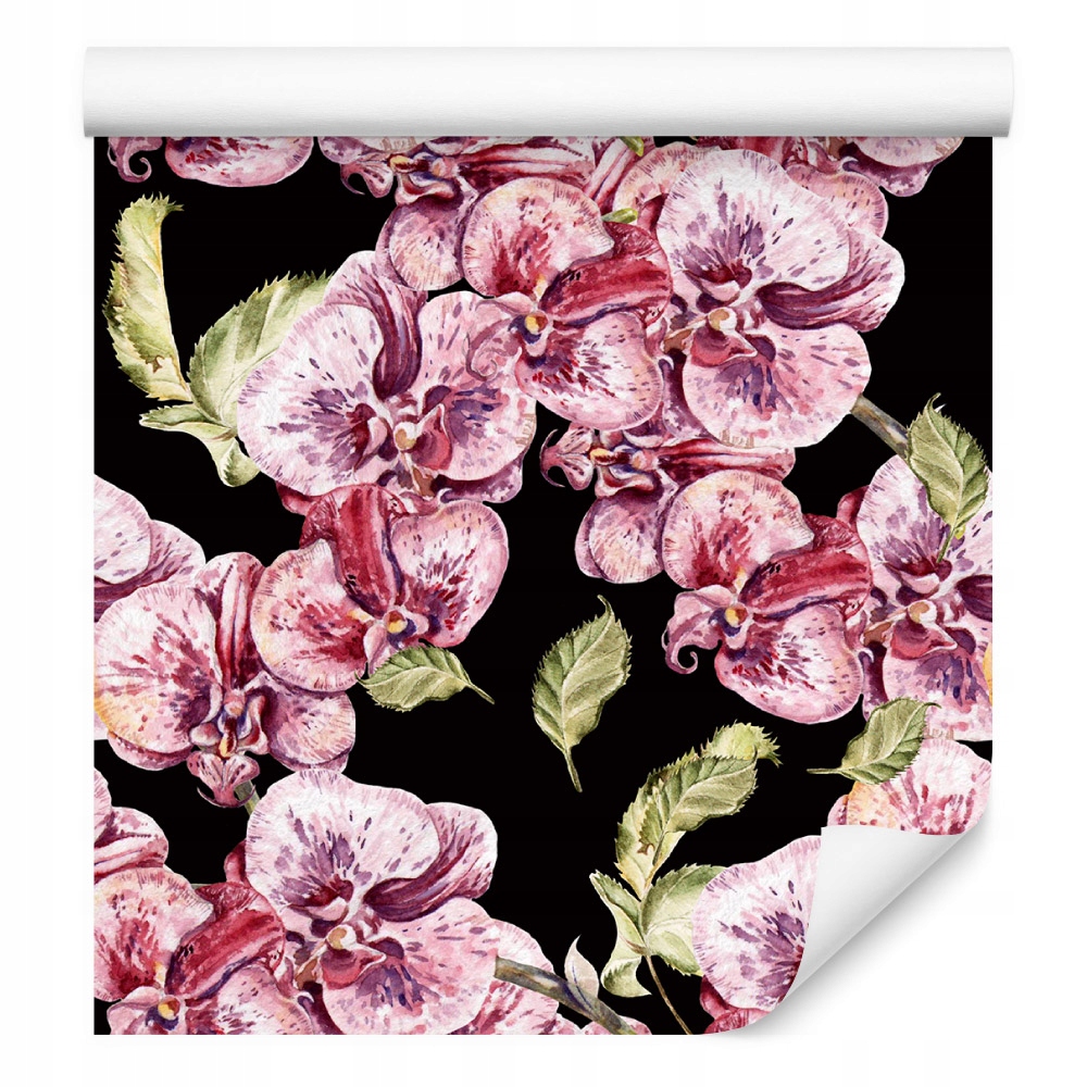 Tapeta do ložnice orchidej orchidej příroda květiny