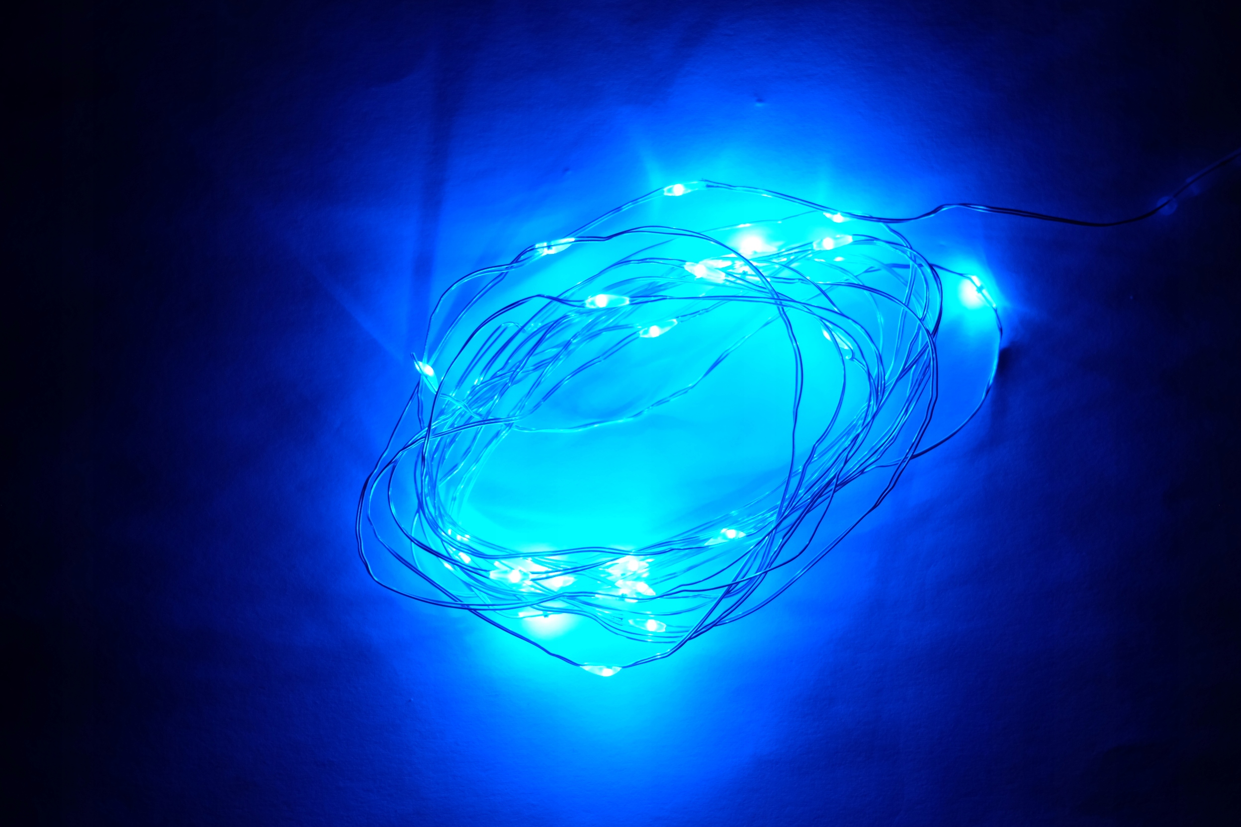 

Lampki Drucik Żyłka Led 30 Na Baterie Niebieskie