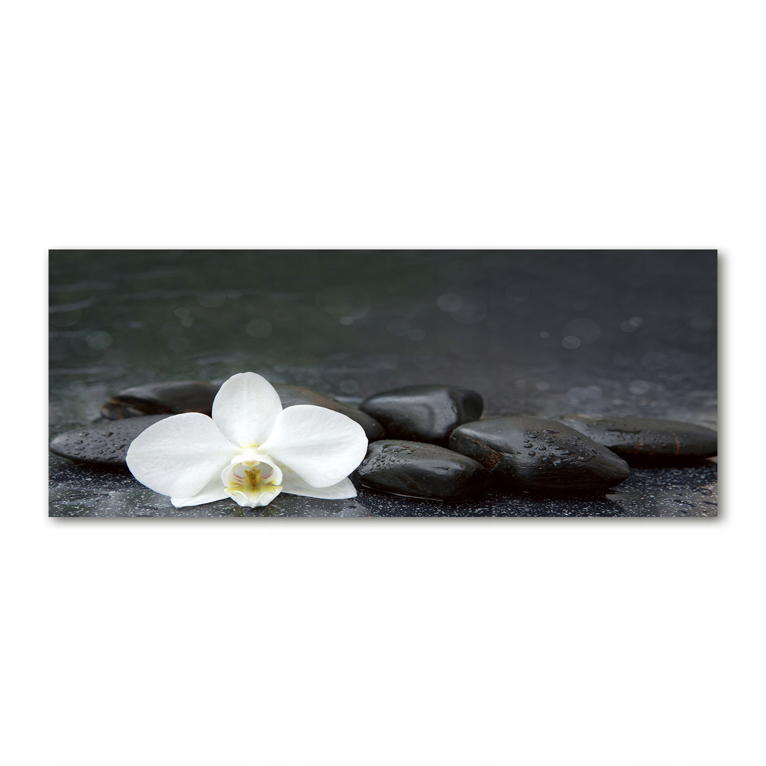 

Foto obraz duży akryl nowoczesny Orchidea 125x50cm