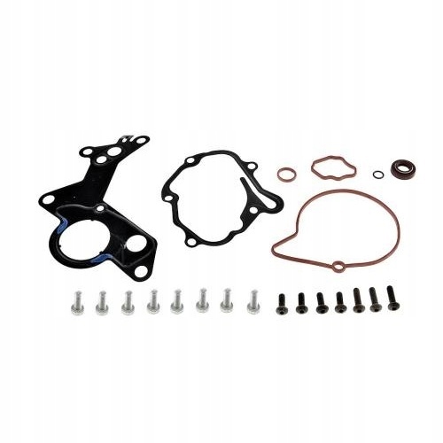 ZESTAW NAPRAWCZY POMPY VACUUM NTY PVP-VW-000A
