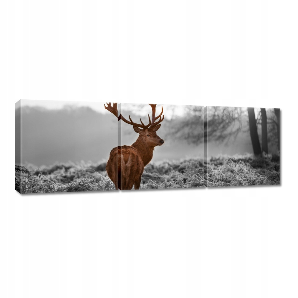 

Obrazy 120x40 Dostojny jeleń z rogami