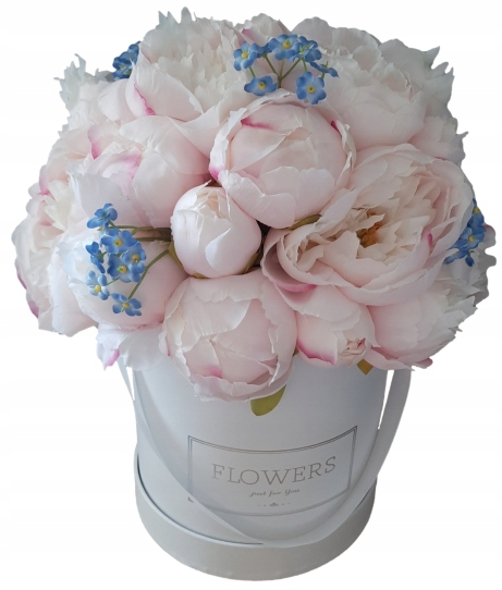 Flower Box na pivonky ružové Pivonie Peonie pivonka pivónia púčiky nezabudnuteľné