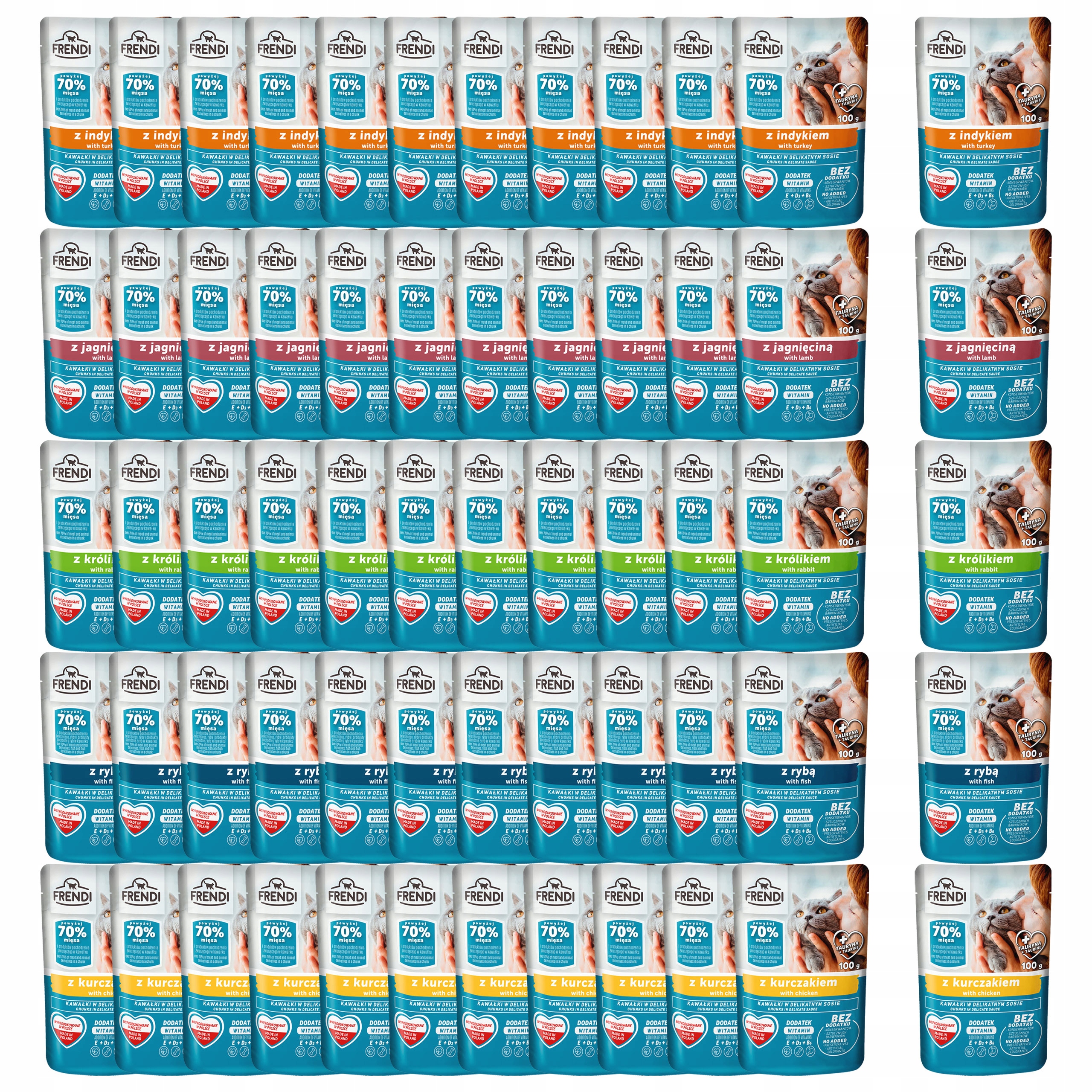 Levně Frendi Kapsička krmivo mokré pro kočky mix chutí 60 x 100 g