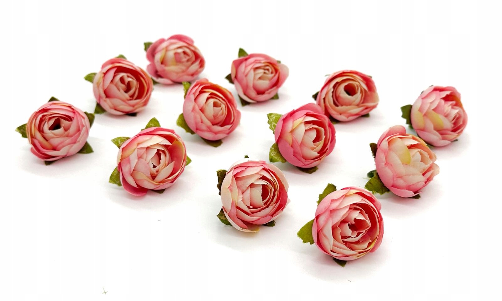 CAMELIA PEŁNIK KAMELKA MINI 3 cm 12sztuk