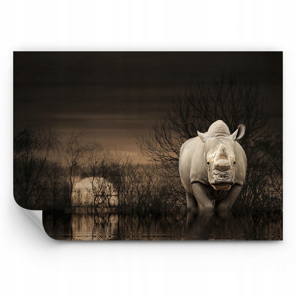 Fototapeta Nosorożec Tapeta Na Ścianę Do Sypialni Salonu 300x210 Ps
