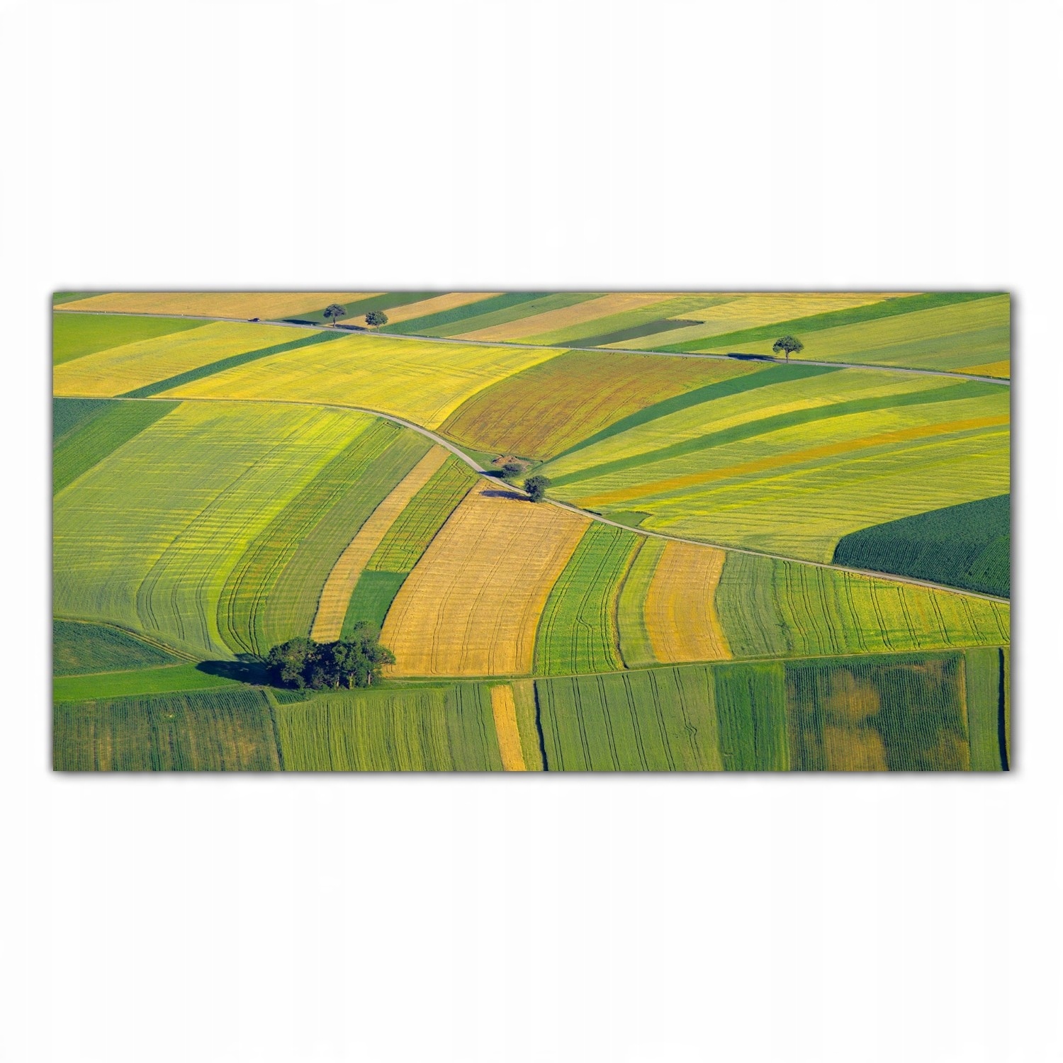 

Obraz na szkle Foto Farma Pola Krajobraz 120x60