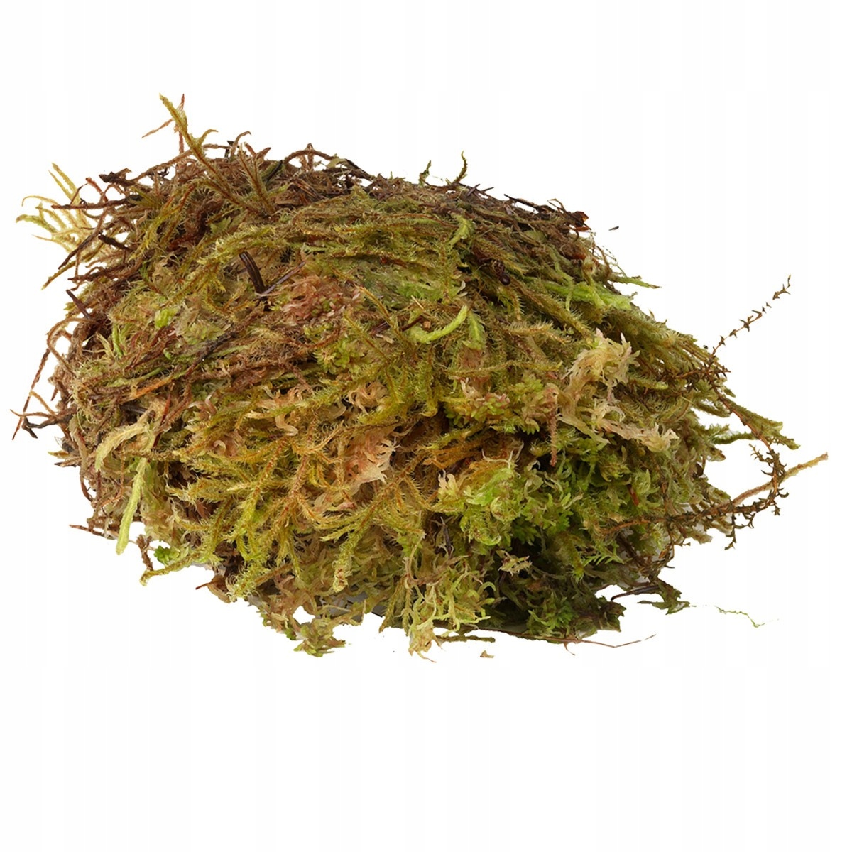 

HabiStat Sphagnum Moss – naturalny mech 1000g