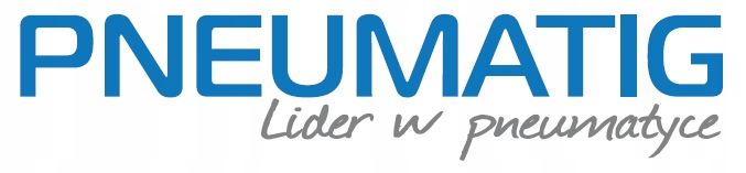 ST-909 сумаке пневматический гравер