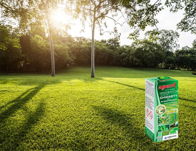 AGRECOL STARANE TRAWNIKI ZWALCZA CHWASTY 250 ML Forma płyn