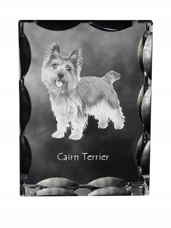Cairn Terrier fotografia psa v ozdobnom kryštáli, suvenír, dekorácia domu