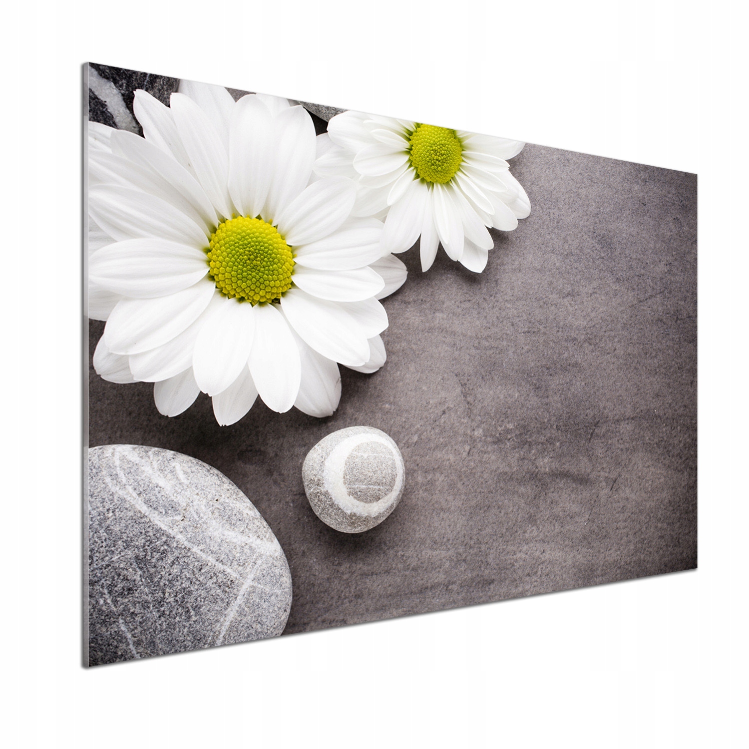 Sklenený panel do kuchyne Gerbera 100 x 70 cm Lepidlo