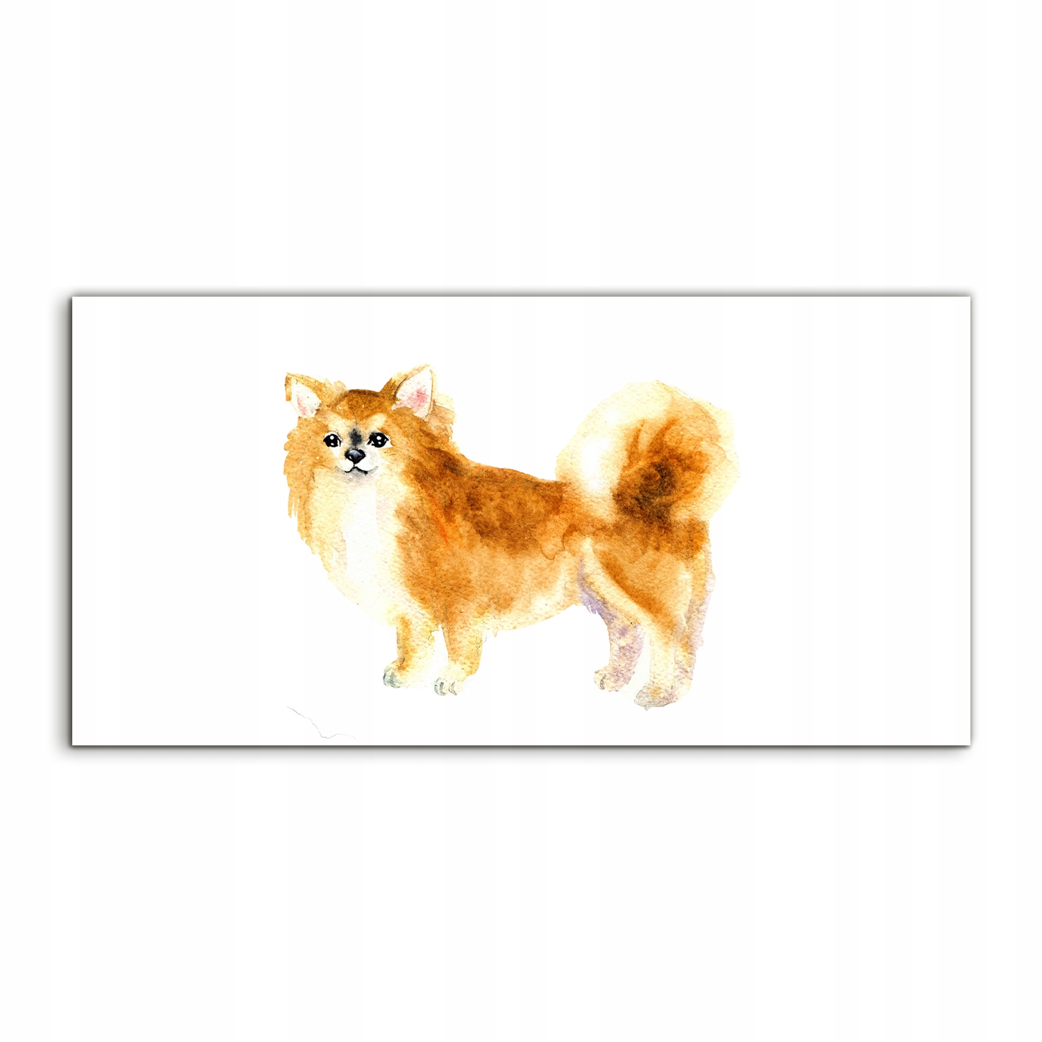 

Obraz 140x70 na ścianę Pies Zwierzęta z nadrukiem