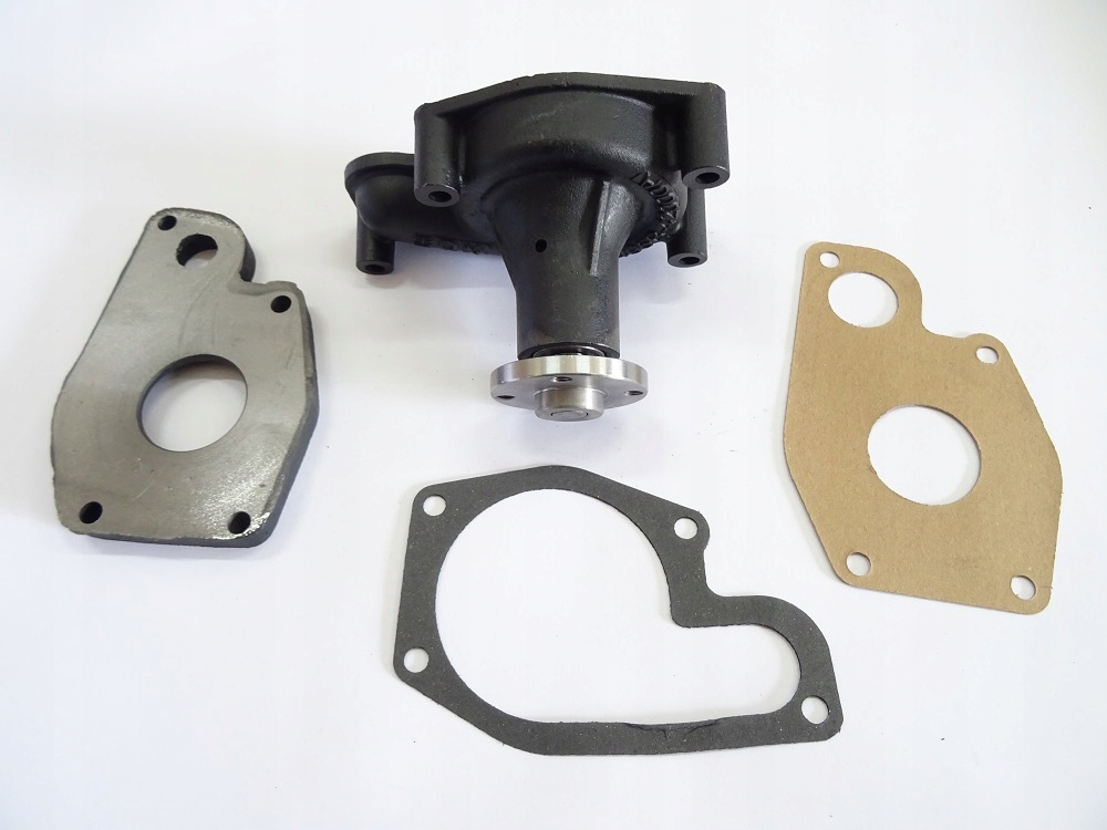 1234ergerg5 - Водяний насос двигуна Zhijang 495 BPG, A495 BPG