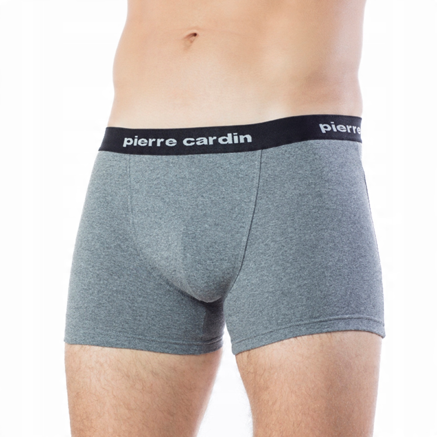 

Pierre Cardin majtki męskie slipy Men szare L