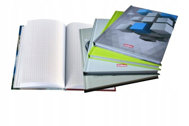 

Zeszyt A5 Brulion Kratkę Twardy 96 Kartek Szkolny