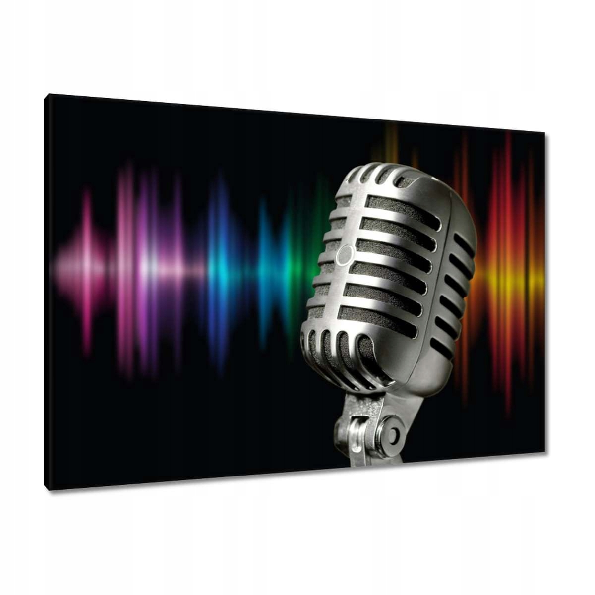 Obrazy 100x70 Mikrofon