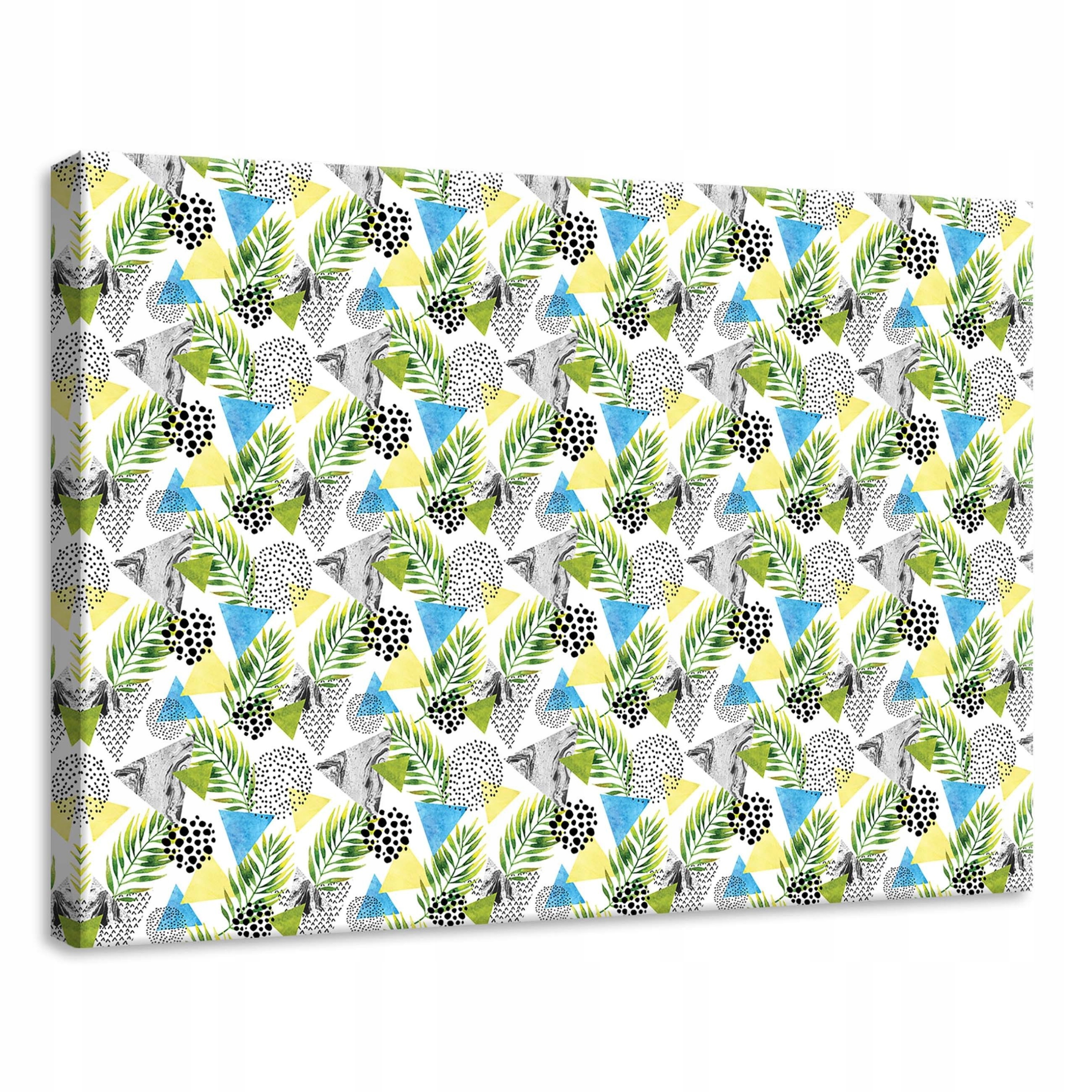 Obraz 70x50 Abstrakce geometrie tropy listy slon moderní dekorativní