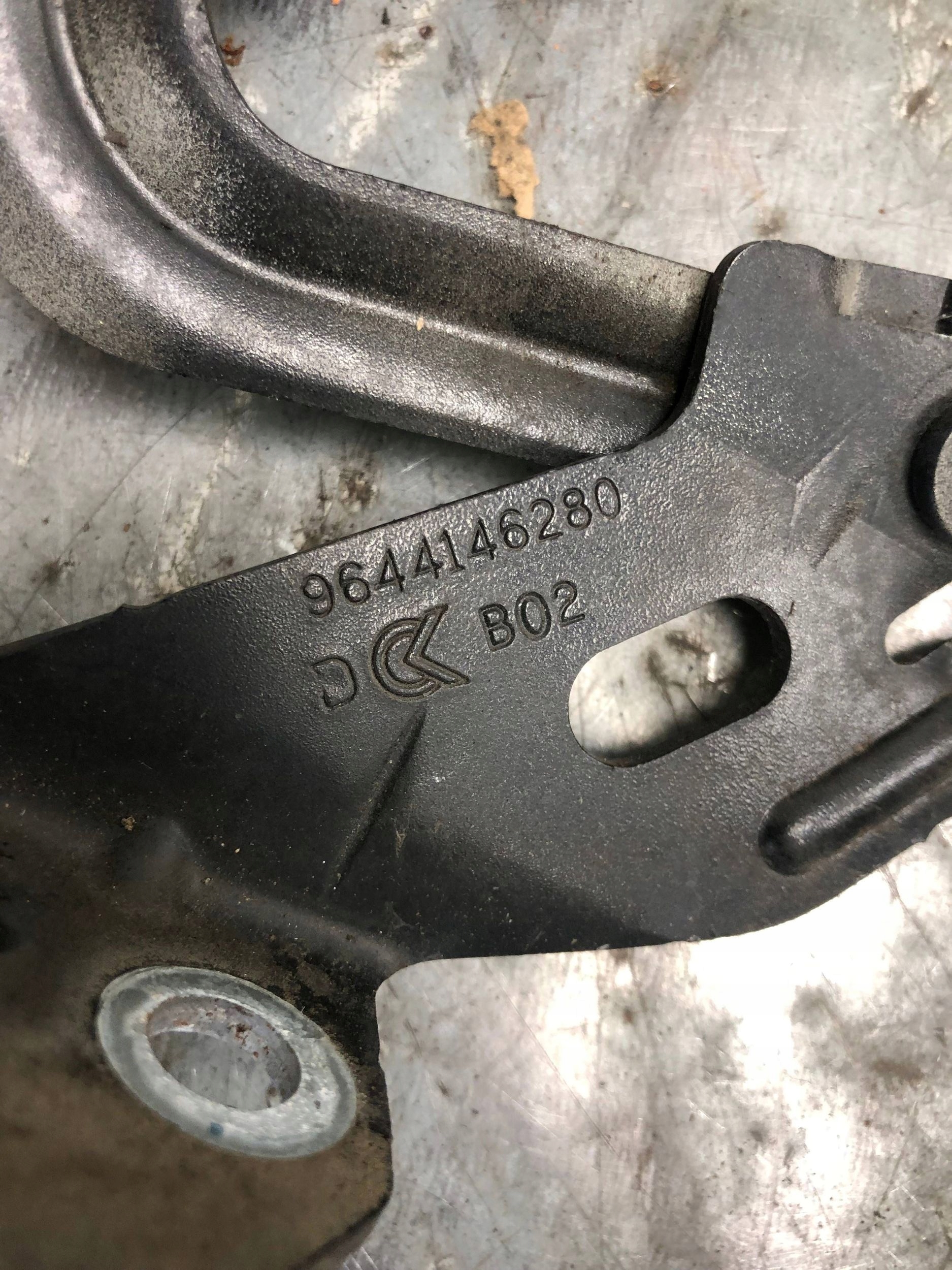 Cerniere cofano PEUGEOT 1007 EXLD 9649259780 9644146280