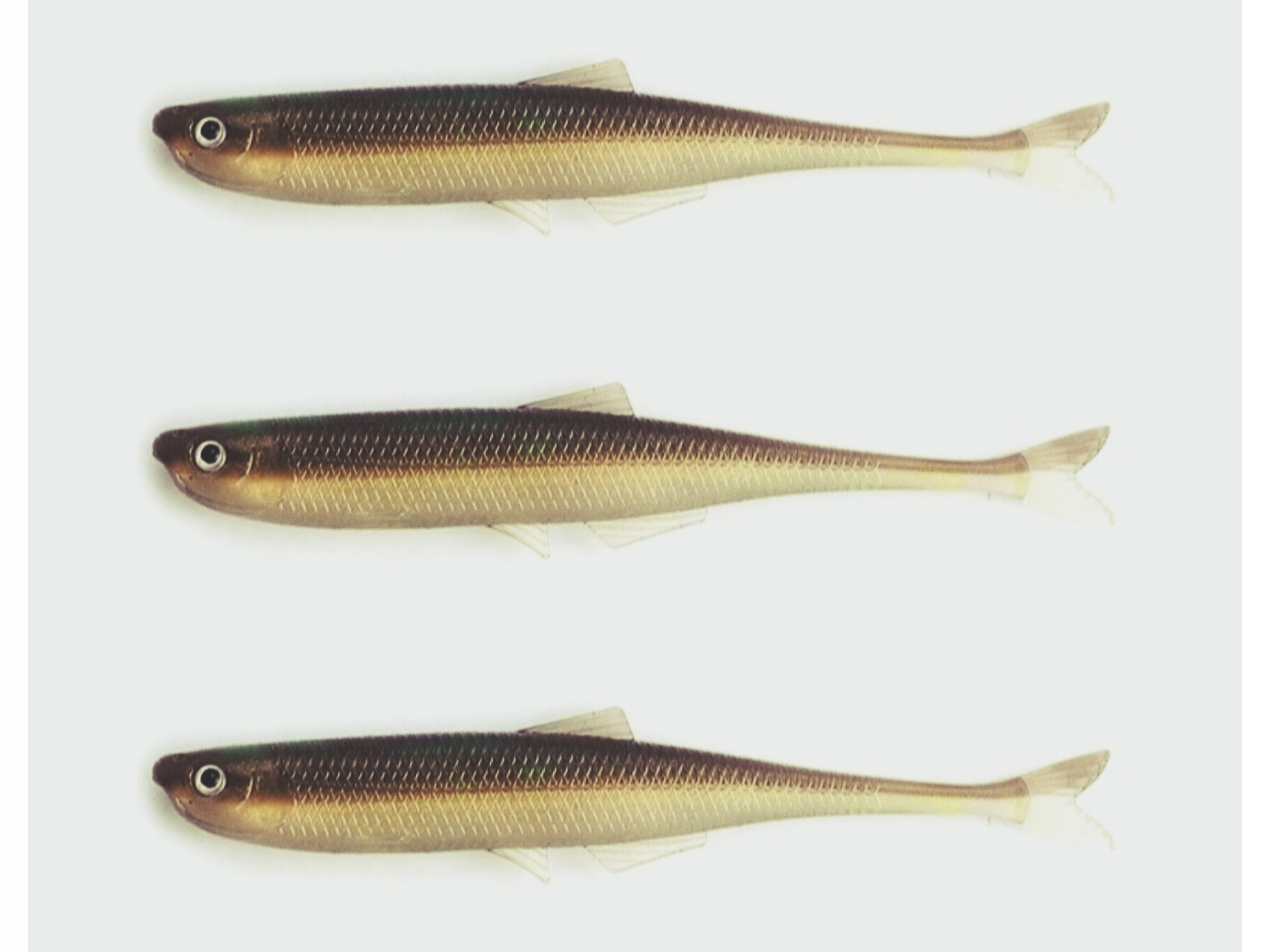 GUMA JASKÓŁKA UKLEJA 6cm /1g komplet 3 sztuki