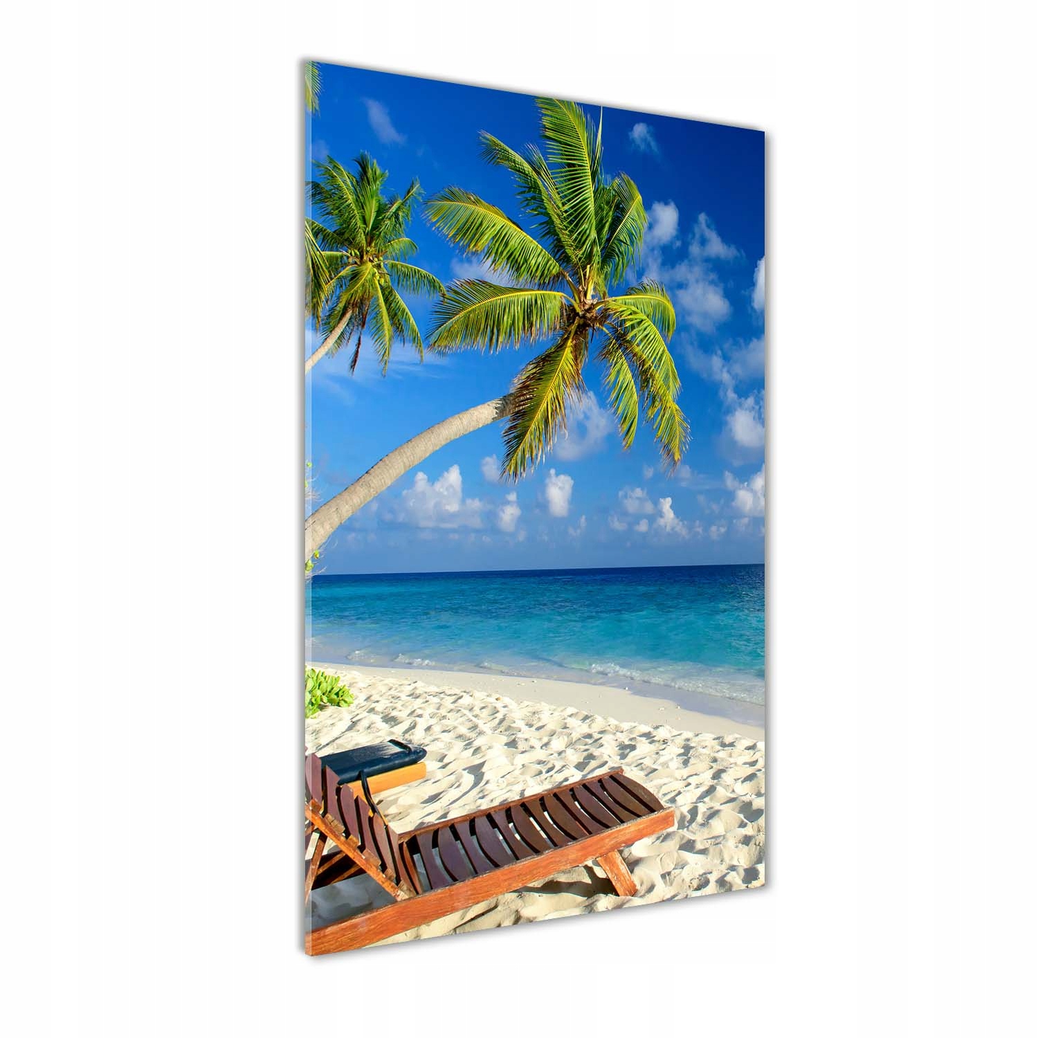 

Foto obraz szkło akrylowe Tropikalna plaża 60x120