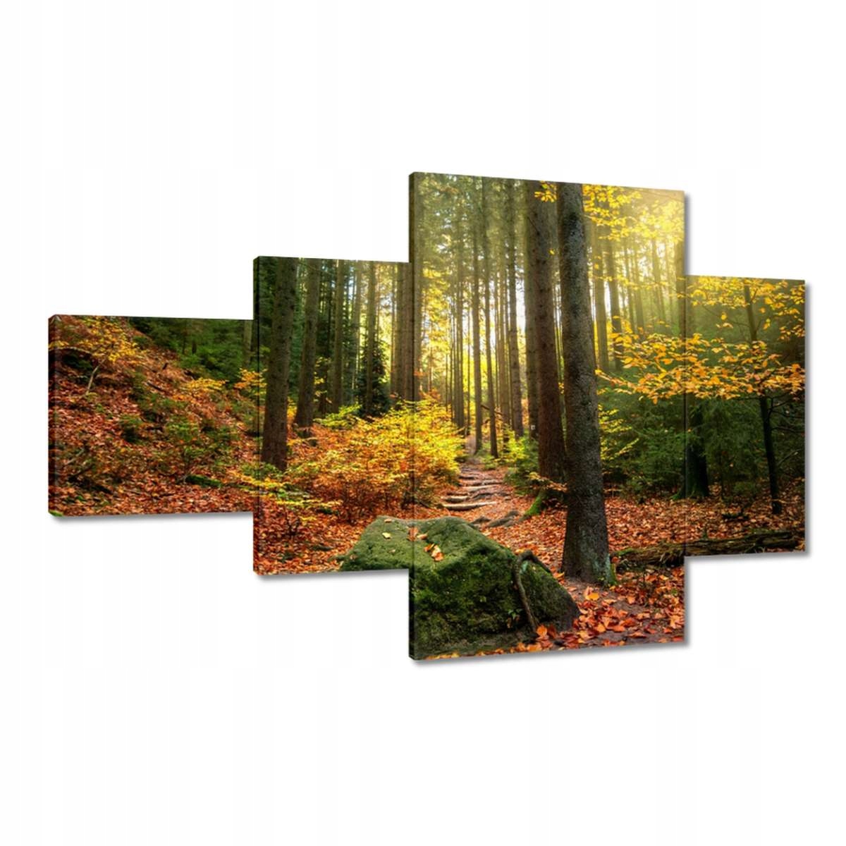 Obrazy 130x80 Krajina